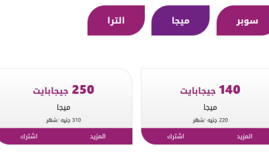 النت بقى سريع.. باقات we للإنترنت المنزلي 2025 تفاصيل كاملة واختار الباقة المناسبة ليك