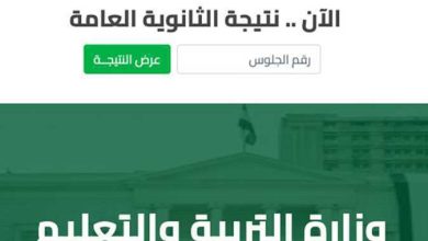 الوزارة تكشف حقيقة شاومينج.. وهذا موعد نتيجة الثانوية العامة 2025