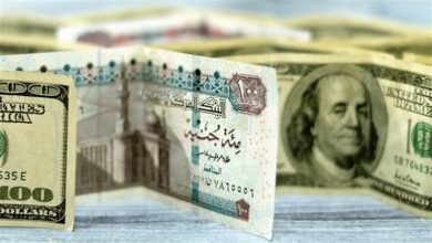 انخفاض سعر الدولار مقابل الجنيه اليوم في البنوك المصرية.. تعرف على آخر التحديثات