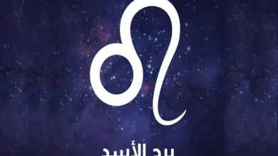 برج الاسد