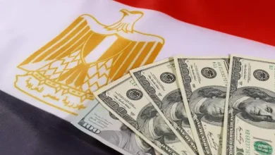 تحويلات المصريين بالخارج تسجل ارتفاعاً غير مسبوق وتتجاوز 29 مليار دولار