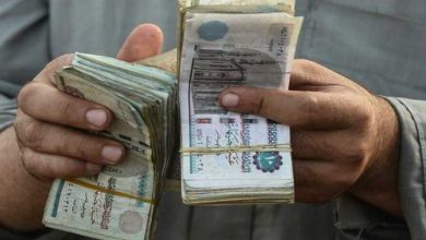 تعليمات وزارية حول العلاوات والحوافز المضافة إلى رواتب يوليو 2025