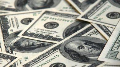 تفوق السوق المحلية في مصر: صراع الدولار والإسمنت