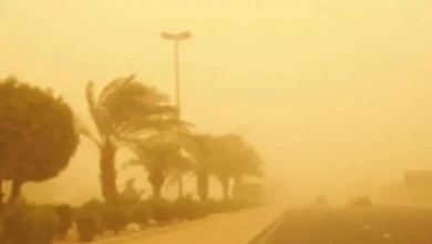 موجة حارة وضباب ورياح شديدة يسيطرون على أجواء المملكة اليوم الأربعاء