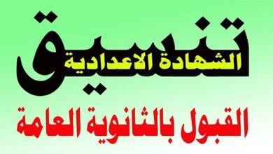 تنسيق الثانوية العامة بمحافظة الجيزة 2025.. تعرف على المؤشرات الرسمية