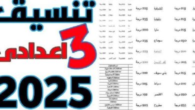 تنسيق الثانوية العامة 2025