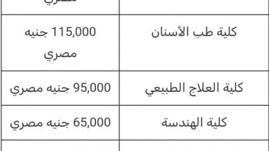 تنسيق الجامعات الأهلية 2025 وأسعارها