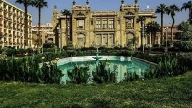 جامعة عين شمس الأهلية