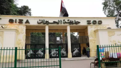 حديقة الحيوان بالجيزة