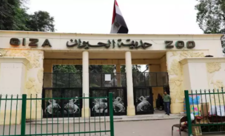 حديقة الحيوان بالجيزة