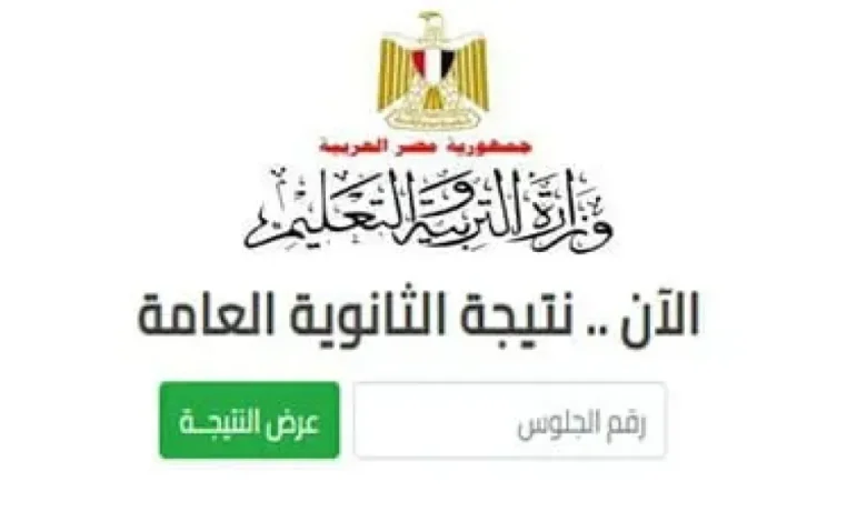 خلال أيام.. نتيجة الثانوية العامة 2025 على وشك الظهور وخطوات الاستعلام