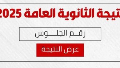 رابط نتيجة تنسيق المرحلة الأولى 2025 للثانوية العامة متاح الآن عبر الموقع الرسمي
