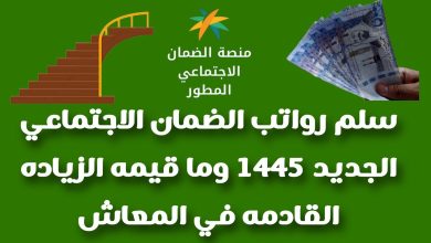 راتب الضمان الاجتماعي الجديد