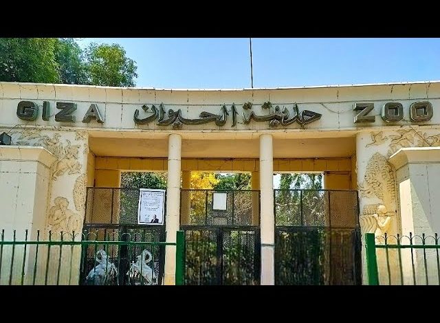 سبتمبر 2025 موعد افتتاح حديقة الحيوان بالجيزة بعد تطويرات عالمية ومفاجآت للزوار
