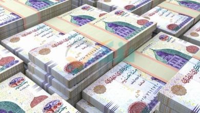 سجّل الآن للحصول على منحة العمالة غير المنتظمة لعام 2025 واستفد منها بشكل كامل