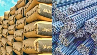 سعر الحديد والأسمنت اليوم في مصر.. استقرار نسبي وسط توقعات بالتحرك