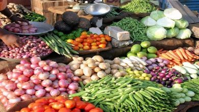 سعر الخضراوات اليوم في مصر.. البصل يشعل السوق بارتفاع غير متوقع!