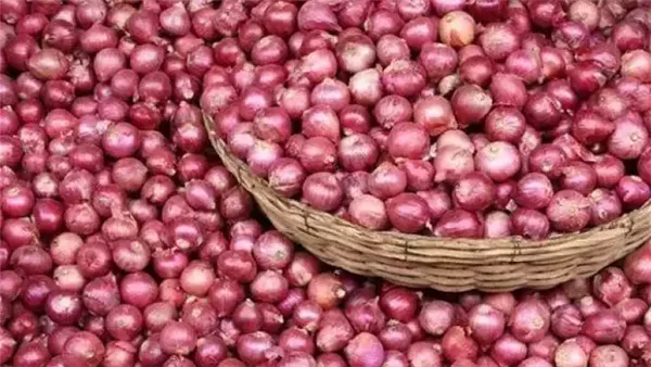 سعر الخضراوات في مصر اليوم.. البصل يتصدر المشهد بقفزة غير متوقعة