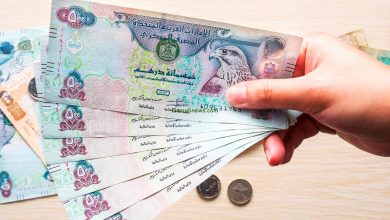سعر الدرهم الإماراتي مقابل الجنيه المصري اليوم.. تحديث لحظي من السوق