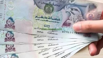 سعر الدرهم الإماراتي مقابل الجنيه المصري.. تحديث اليوم بأسواق الصرافة