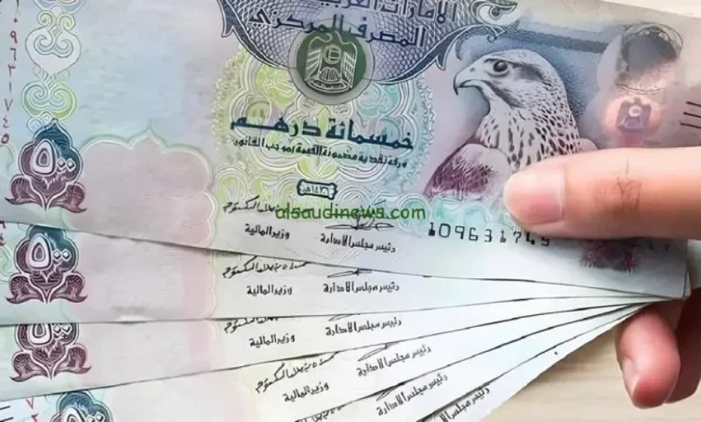 سعر الدرهم الإماراتي مقابل الجنيه المصري.. تحديث اليوم بأسواق الصرافة