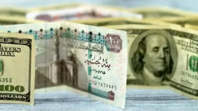 سعر الدولار اليوم في البنوك المصرية