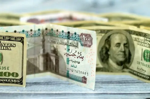 سعر الدولار اليوم في البنوك المصرية