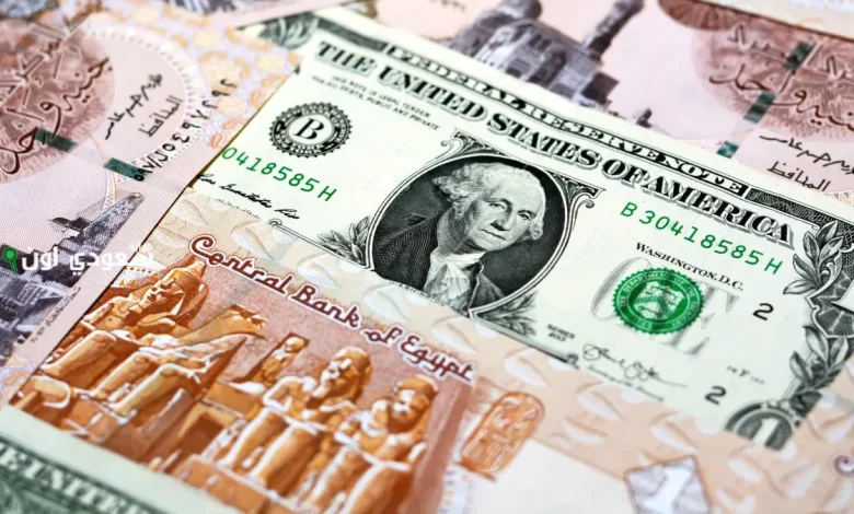 سعر الدولار مقابل الجنيه في السوق السوداء اليوم