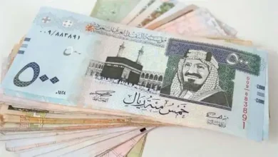 استقرار الريال السعودي أمام الجنيه اليوم 24-7-2025.. إليك التفاصيل