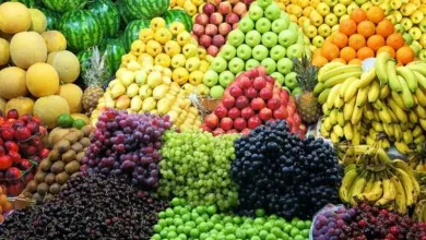 سعر الفواكه اليوم في مصر