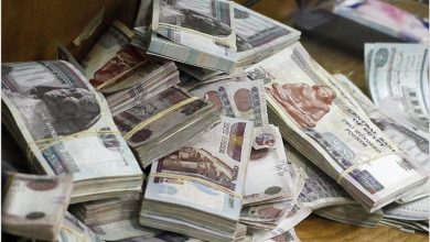 شهادات الاستثمار في بنك الإسكندرية 2025.. أرباح تنافسية ومرونة في السحب
