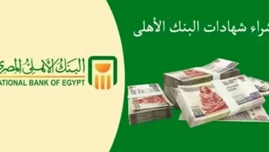 شهادات البنك الأهلي 2025.. أعلى عائد شهري وطرق شراء الشهادات إلكترونيًا
