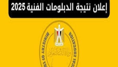 ظهور نتيجة الشهادات الفنية 2025 للدور الأول رسميًا.. استعلم الآن عبر بوابة التعليم الفني