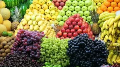 أسعار الفواكه في مصر الاثنين 28 يوليو.. الموز والتفاح على رأس القائمة