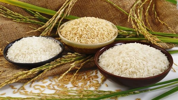كم بلغ سعر الأرز الشعير في مصر اليوم؟ تغيرات في الأسواق المحلية