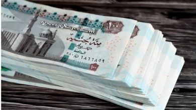 كيفية التسجيل في منحة العمالة غير المنتظمة لعام 2025: خطوات ونصائح مهمة