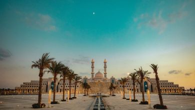 كينشاسا تستعين بخبرة مصرية لإنشاء مدينة جديدة.. مشاركة واسعة من شركات وطنية
