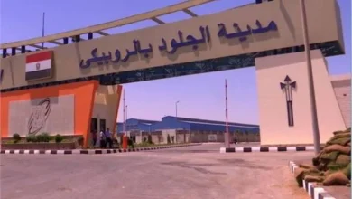 مدينة الجلود بالروبيكي