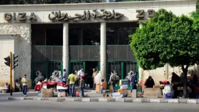 موعد افتتاح حديقة الحيوان بعد دمجها مع الأورمان
