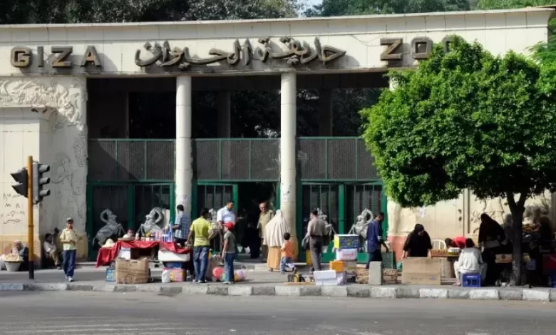 موعد افتتاح حديقة الحيوان بعد دمجها مع الأورمان