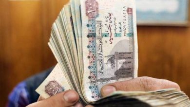 موعد صرف معاشات شهر يوليو 2025 في مصر يُعلن الآن