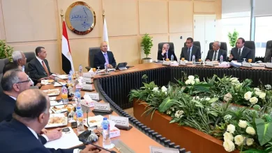 نائب رئيس الوزراء: إيرادات الشركة القابضة للنقل البحري والبري تبلغ 24.5 مليار جنيه