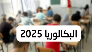 نتائج البكالوريا 2025 إلكترونيًا عبر موقع الديوان الوطني