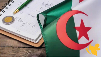 نتائج البكالوريا 2025 الجزائر.. رابط مباشر للاستعلام من موقع الديوان الوطني
