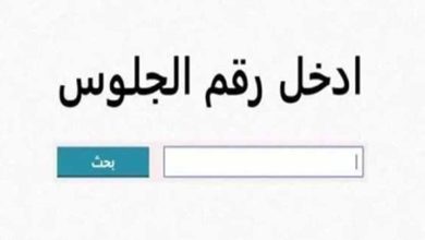 الدبلومات الفنية