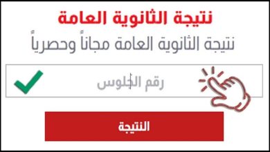 نتيجة الثانوية العامة 2025