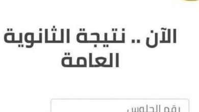 نتيجة الثانوية العامة 2025 في مصر.. رابط الاستعلام وخطوات الحصول عليها