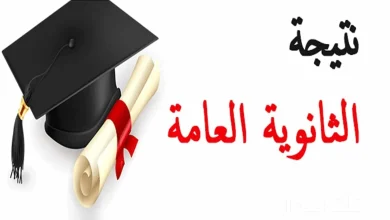 نتيجة الثانوية العامة 2025.. خطوات الحصول على النتيجة وأسماء الأوائل