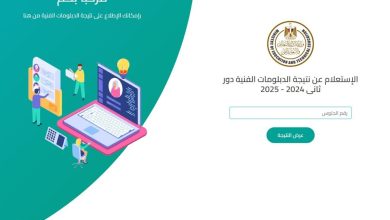 نتيجة الدبلومات الفنية