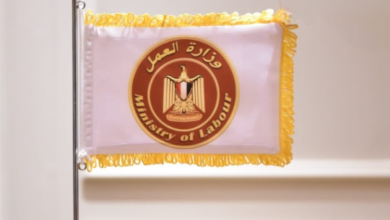 وزارة العمل تعلن 103 فرص توظيف بالإمارات